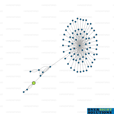 Network diagram for PERMIT PILOT LTD