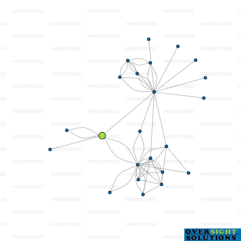 Network diagram for TURF KINGS LTD
