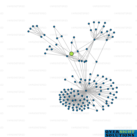 Network diagram for SKYLINE HEALTHCARE GROUP TRUSTEE LTD