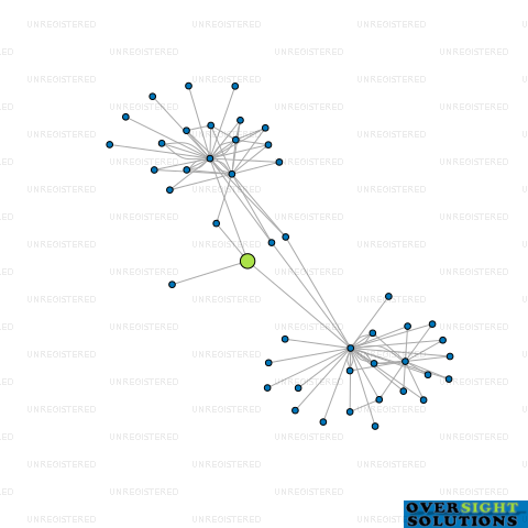 Network diagram for SWIFTSURE ARROWTOWN LTD