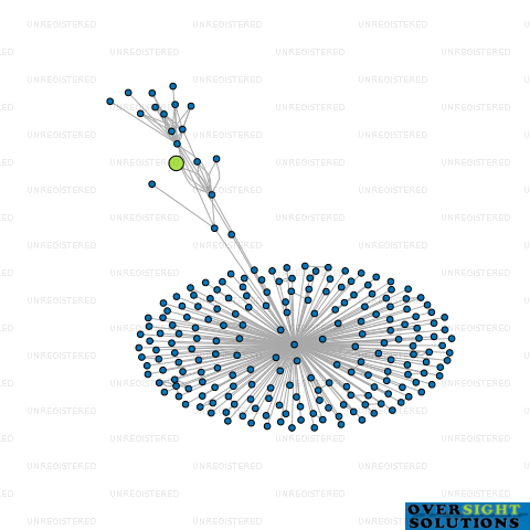 Network diagram for SEVEN MADDEN LTD
