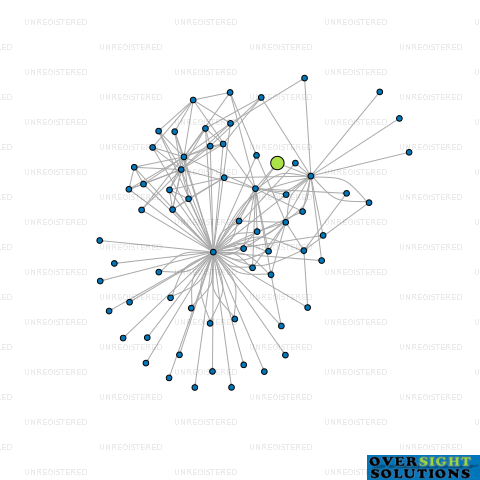 Network diagram for CH MAKENA HOLDINGS LTD