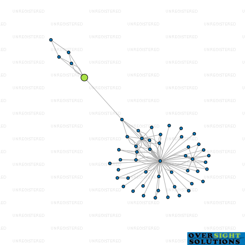 Network diagram for ELIZABETH MACRAE TRUSTEES LTD