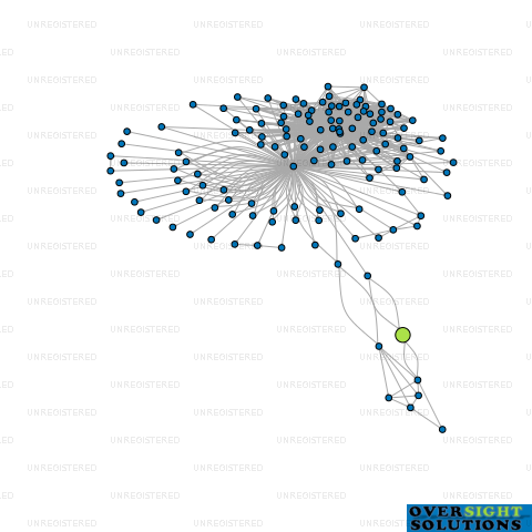Network diagram for SINGH CIVIL LTD