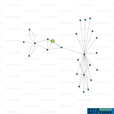 Network diagram for PROJECT PARTNERSHIP LEADERS LTD