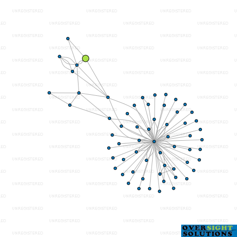 Network diagram for TUNIP CONSULTING LTD