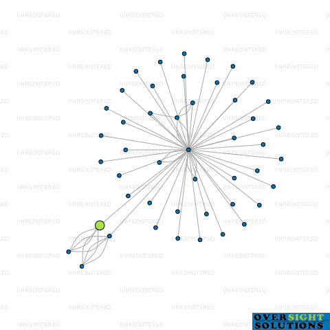 Network diagram for TEKAPO FUEL SUPPLIES HOLDINGS LTD
