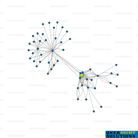 Network diagram for CUSTOM CRETE LTD