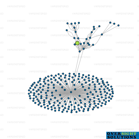 Network diagram for ECO RAKAU LTD