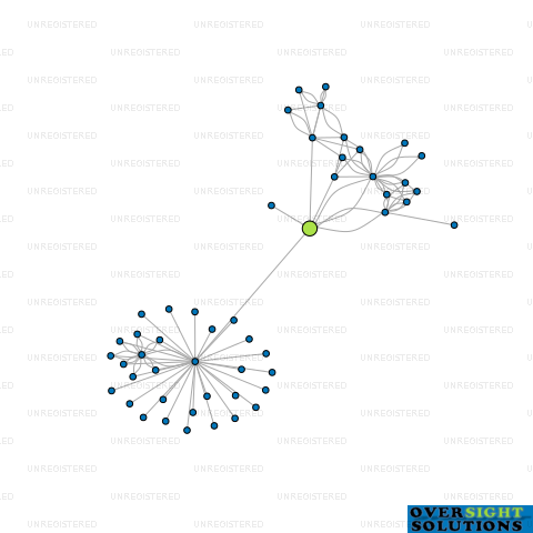 Network diagram for BIZDOM LTD