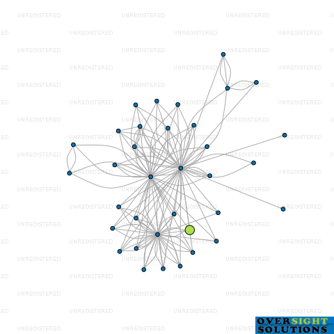 Network diagram for 333 PERFORMANCE MANAGEMENT LTD