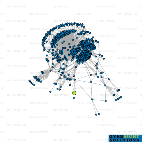Network diagram for SODHI PROJECTS LTD