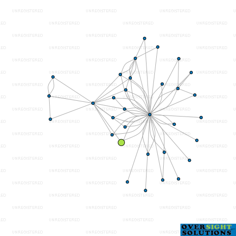 Network diagram for TAI PING MT WELLINGTON LTD