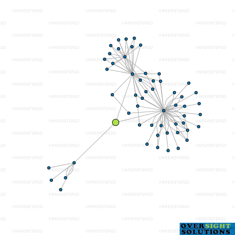 Network diagram for WL TRUSTEE KIM  YOON LTD