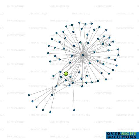 Network diagram for SPECTRUM LOGISTICS LTD