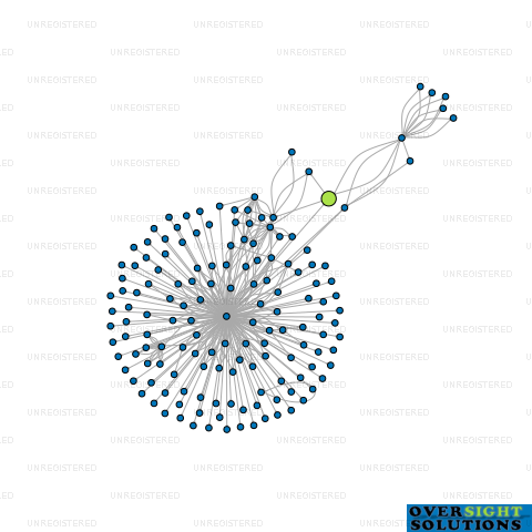 Network diagram for 16 TAYLORS LTD