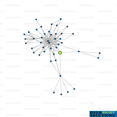 Network diagram for BLUE MOON LTD