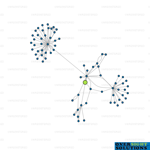 Network diagram for TURNER LEGAL LTD