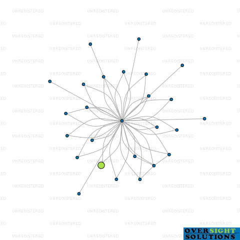 Network diagram for 206 DEVELOPMENT LTD