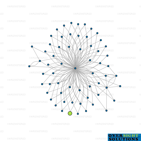 Network diagram for HGLAW TRUSTEES 101 LTD