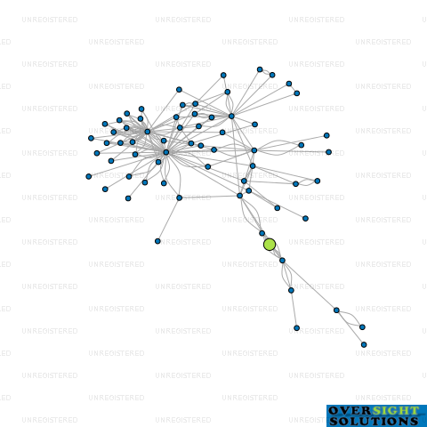 Network diagram for WITHLARO FINANCE LTD