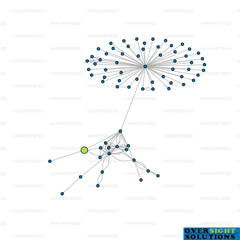 Network diagram for 786 TRUSTEE ANZ COMPANY LTD