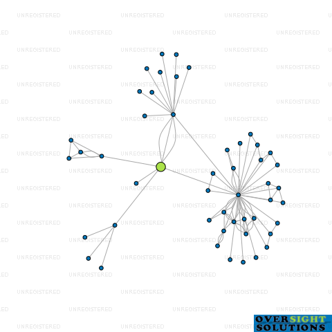 Network diagram for CONNETICS LTD