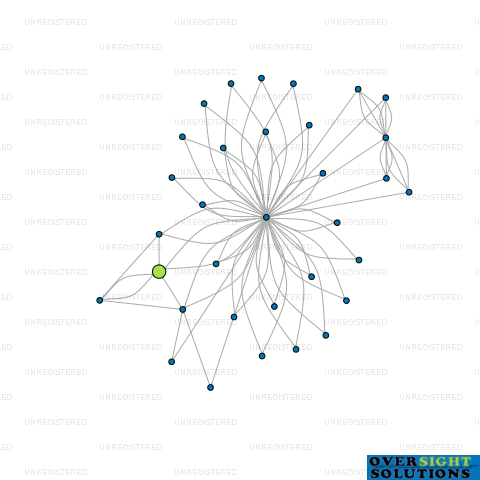Network diagram for SHALOM TRUSTEE LTD