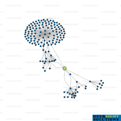 Network diagram for 443K LTD