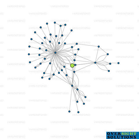 Network diagram for TURTLES TRADING LTD