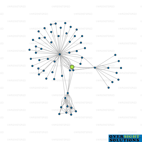 Network diagram for APOLLO BRANDS LTD