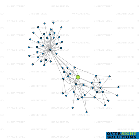 Network diagram for COMAN INVESTMENTS NELSON LTD