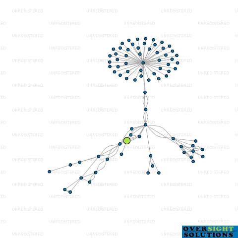 Network diagram for TARANAKI GALVANISERS 2022 LTD