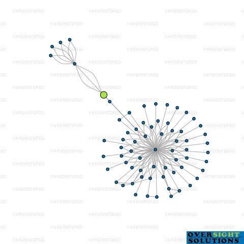 Network diagram for BRAR HOLDINGS LTD