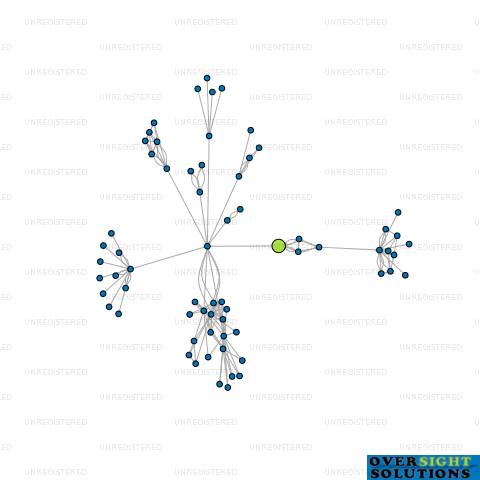Network diagram for SOUTH PACIFIC BERRIES LTD