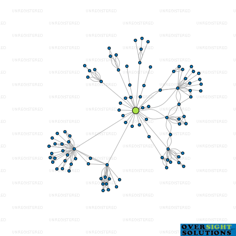 Network diagram for HILLERSDEN FOREST LTD