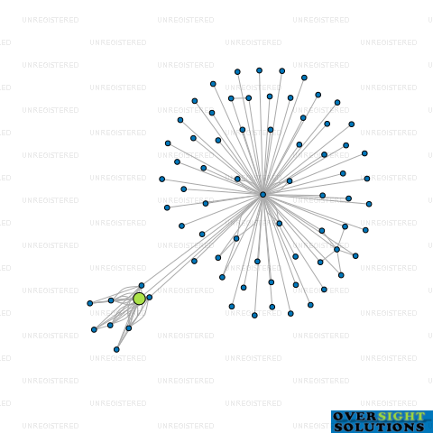 Network diagram for CONNOR  FITZPATRICK LTD