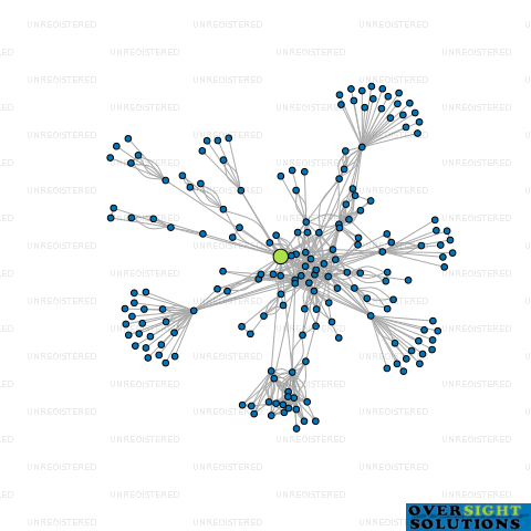 Network diagram for 1 OMG INVESTMENTS LTD