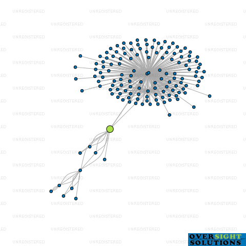 Network diagram for SPECSAVERS BLENHEIM LTD