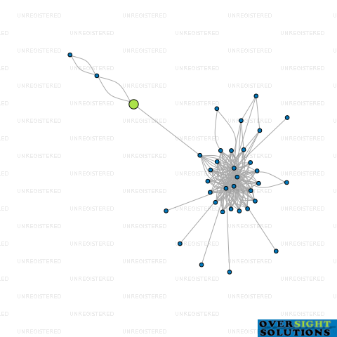 Network diagram for SEAMOUNT ENTERPRISES LTD