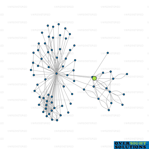 Network diagram for HAMAS LTD