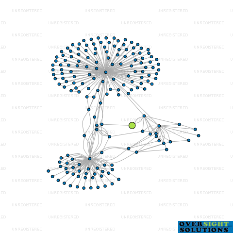 Network diagram for WITHAM HOLDINGS LTD