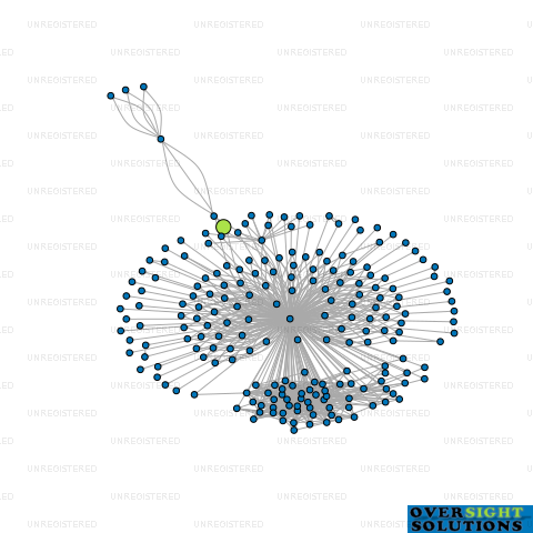 Network diagram for 0204 RISING LTD