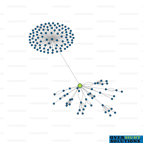 Network diagram for TRUDESIGN PLASTICS LTD