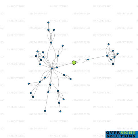 Network diagram for HEY JUDE LTD