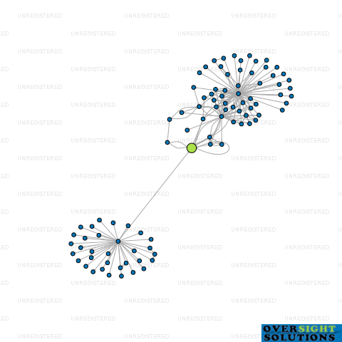 Network diagram for SUDBURYS LTD