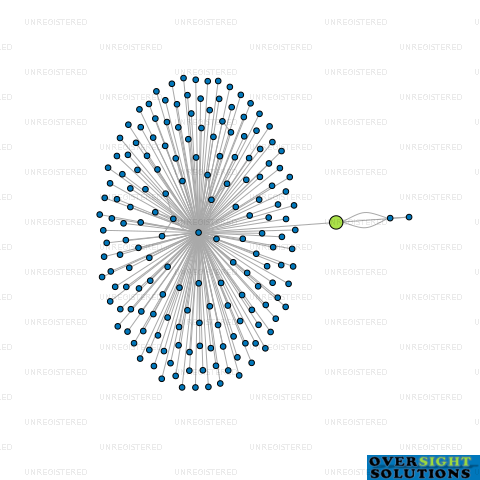 Network diagram for 251 EDMONTON ROAD LTD