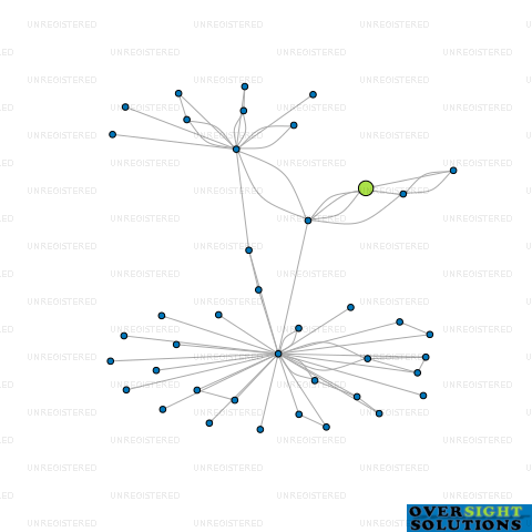 Network diagram for WISITE FARM LTD