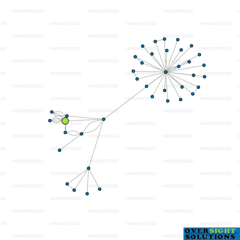 Network diagram for SHAMPOO PLUS LTD