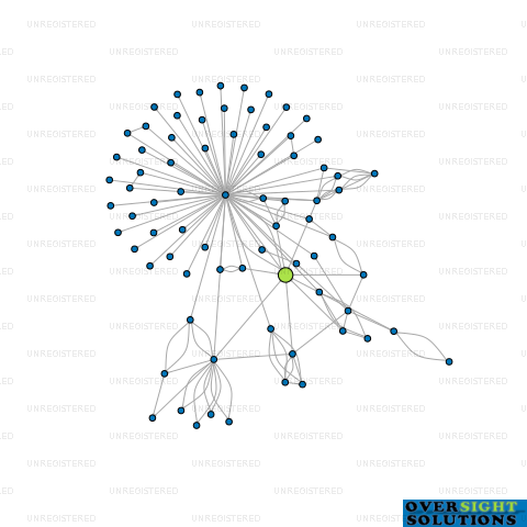 Network diagram for HEALTH 2000 RETAIL LTD